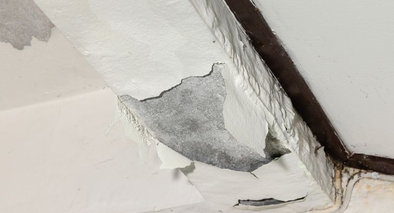 Ceiling Damage Before Repair
